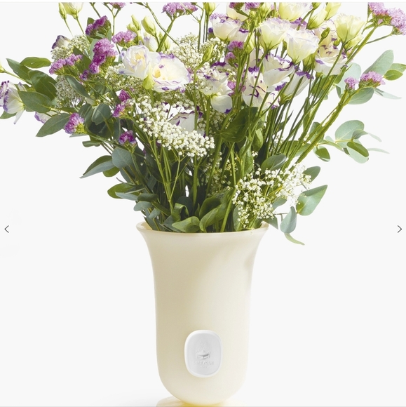 Designed for Diptyque by the Jean-Marc Gady studio this large vase in white wax